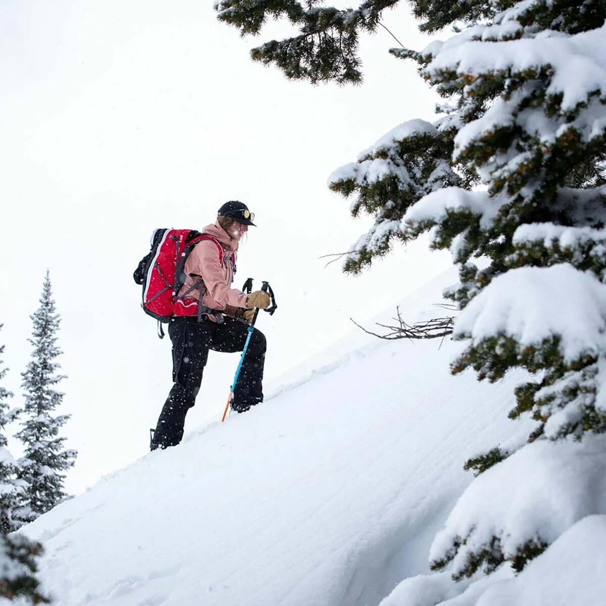 Weston Eclipse Artist Series Splitboard 2022 2 Weston Eclipse Artist Series Splitboard 2022 - Image 2