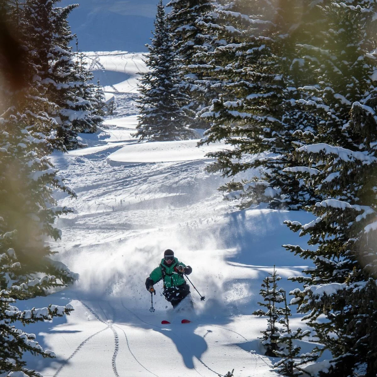 Weston Grizzly Artist Series Ski 2022 5 Weston Grizzly Artist Series Ski 2022 - Image 5