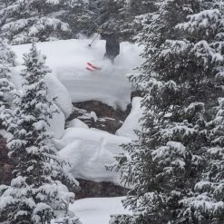 Weston Grizzly Artist Series Ski 2022 16 Weston Grizzly Artist Series Ski 2022 -Kastle Fashion Shop WHI D12