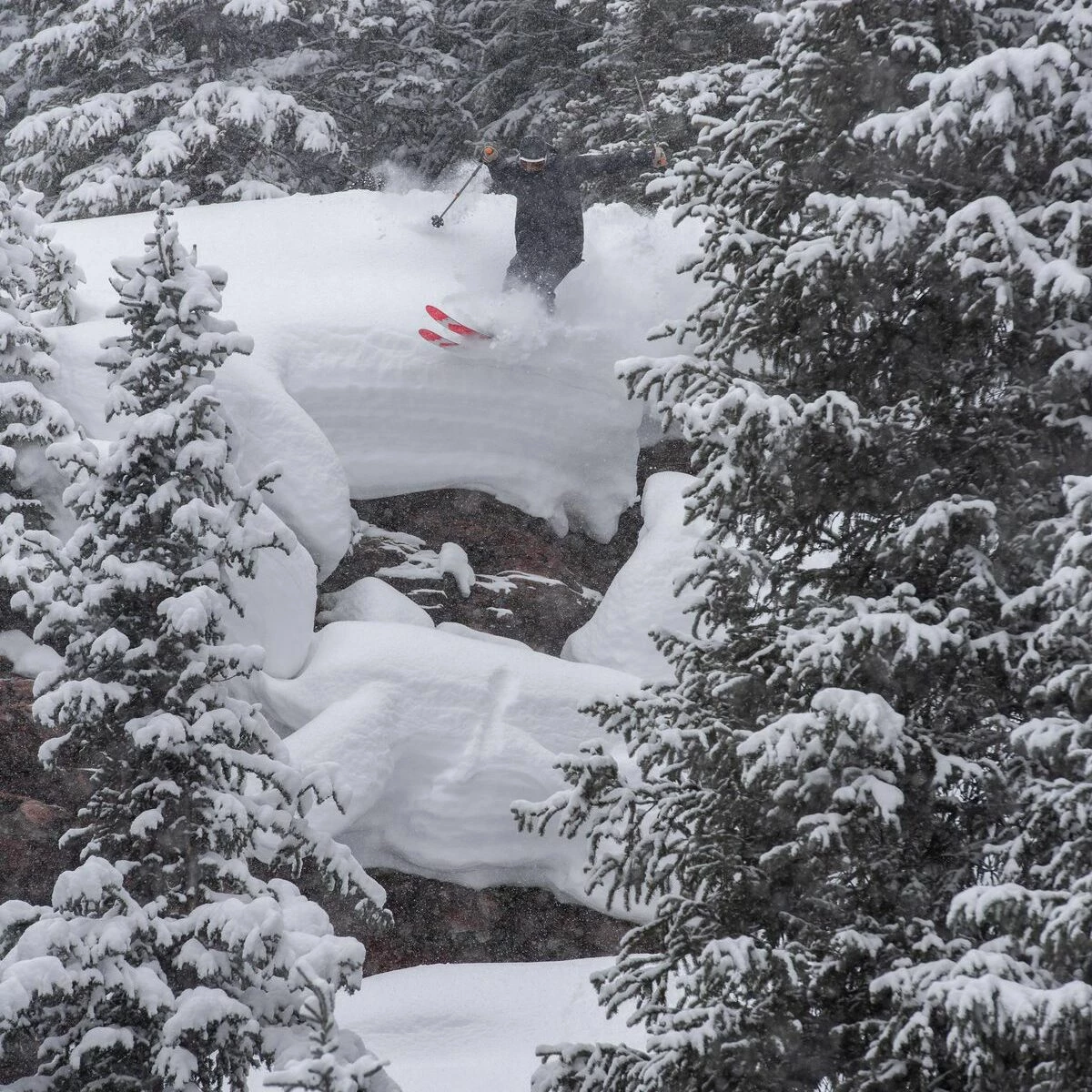 Weston Grizzly Artist Series Ski 2022 3 Weston Grizzly Artist Series Ski 2022 - Image 3