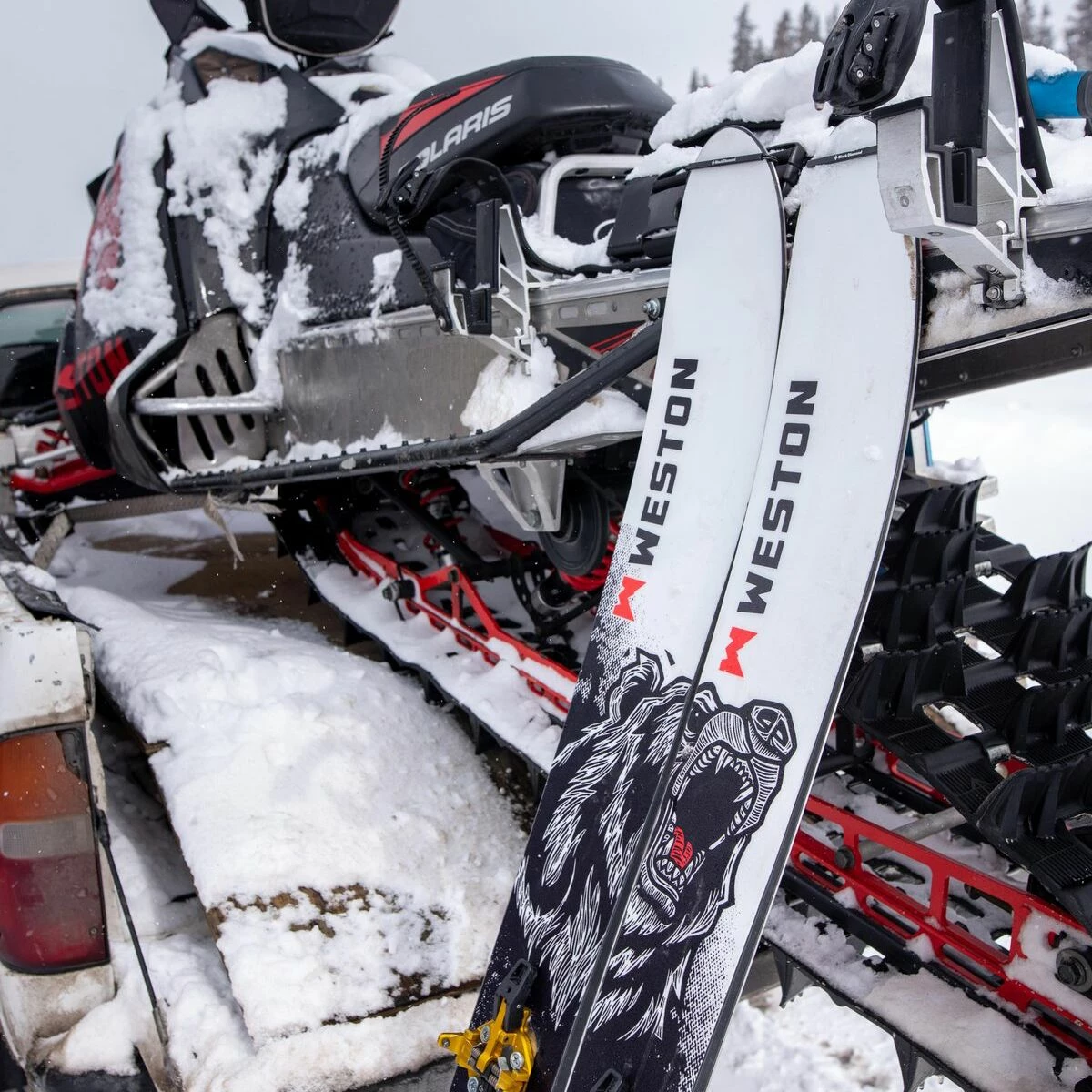 Weston Grizzly Artist Series Ski 2022 7 Weston Grizzly Artist Series Ski 2022 - Image 7